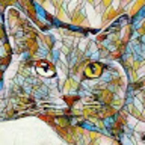 Meet your Posher, Eleanor